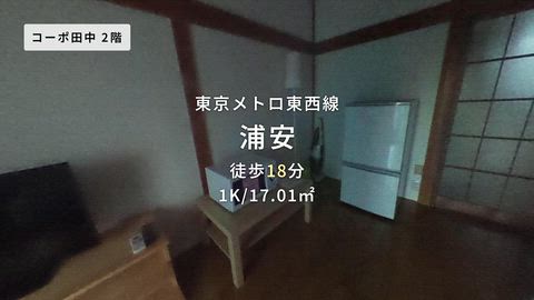 動画