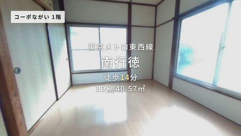 動画