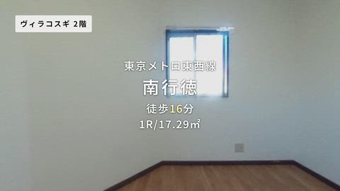 動画