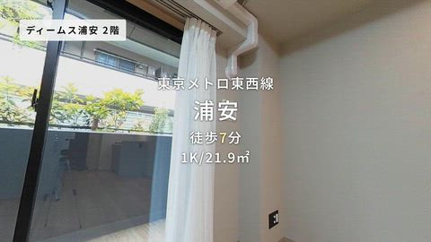 動画