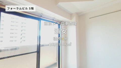 動画