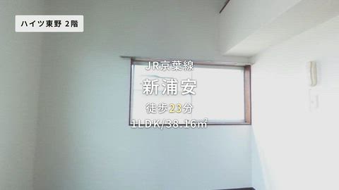 動画