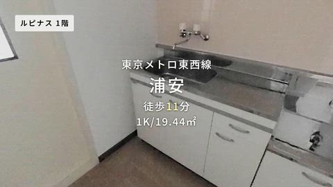 動画