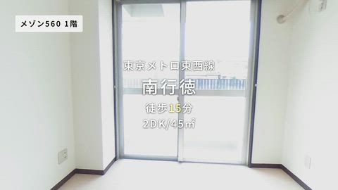 動画