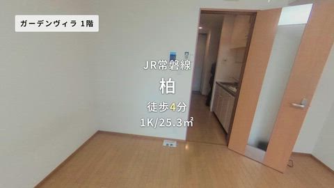 動画