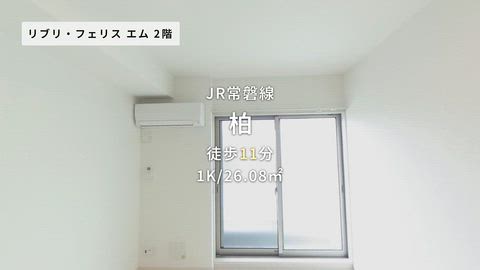 動画