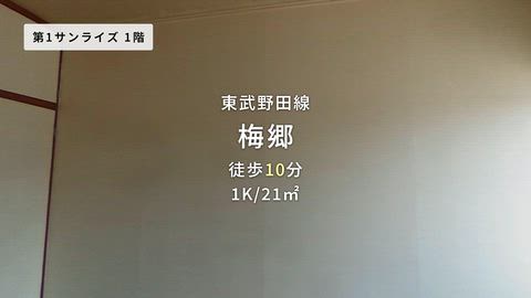 動画