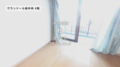 動画