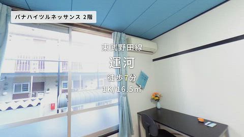 動画