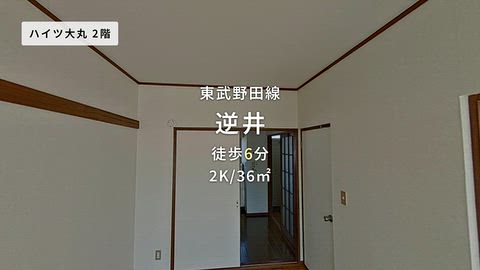 動画