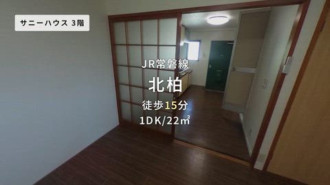 動画