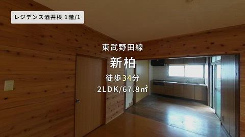 紹介ムービー