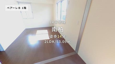 紹介ムービー