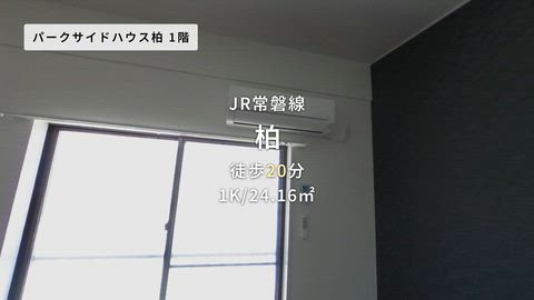 動画