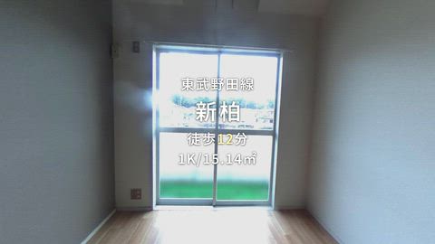 動画