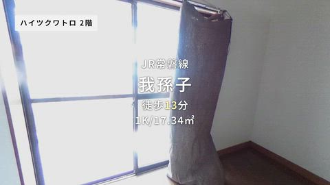 動画