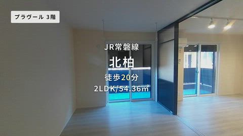 動画