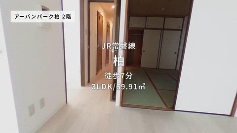 動画