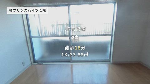 紹介ムービー