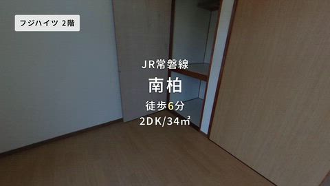 動画