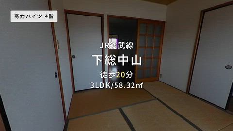 動画