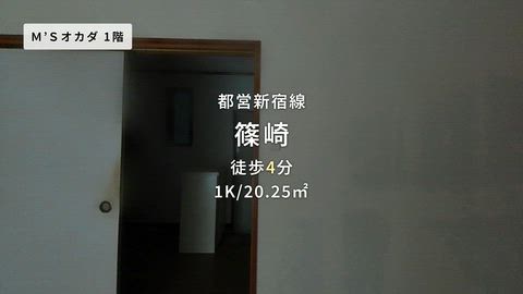 動画