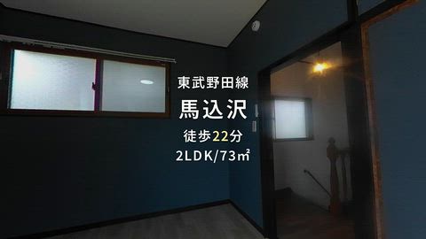 動画