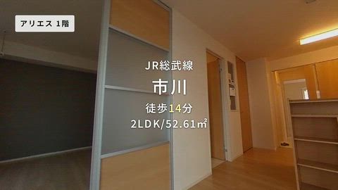 動画