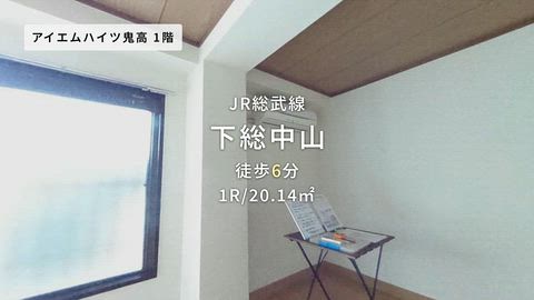 動画