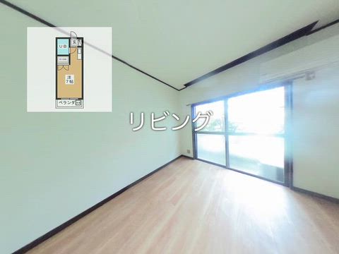 動画