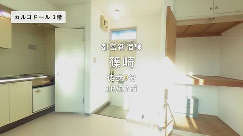 動画