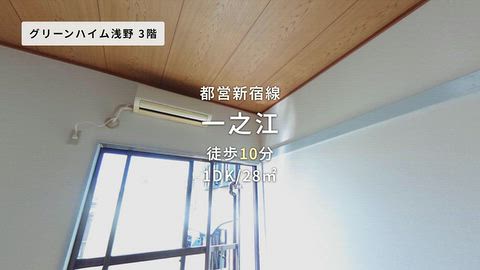 動画