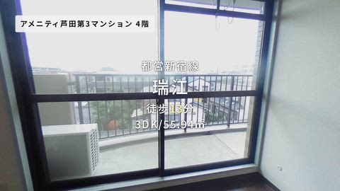 動画