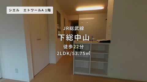 紹介ムービー