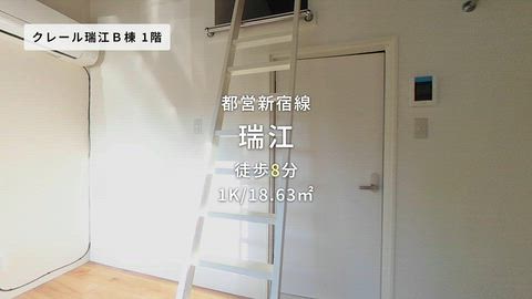 動画