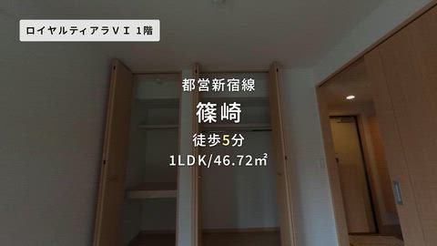 紹介ムービー