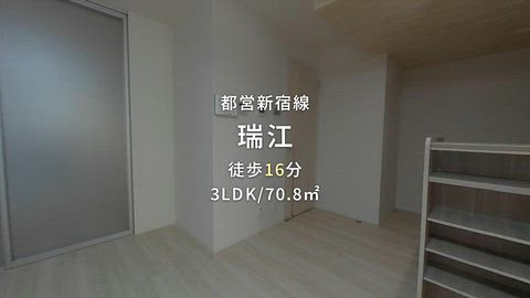 動画