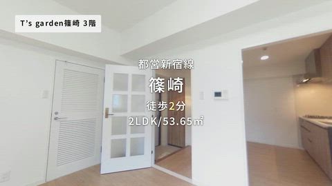 動画