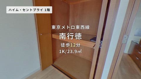動画