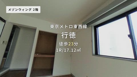 動画