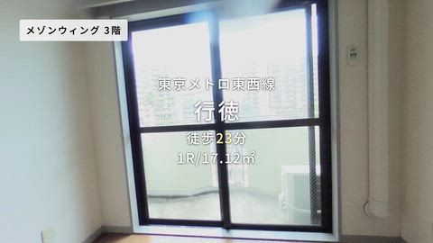 動画