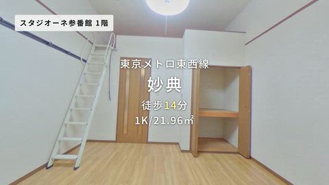 動画