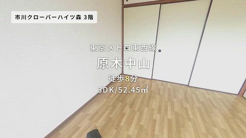 動画