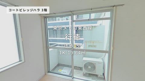 動画