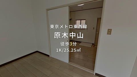 動画