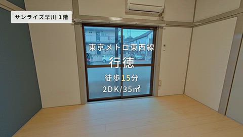 動画