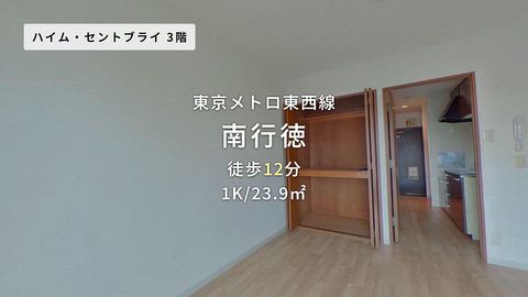 動画