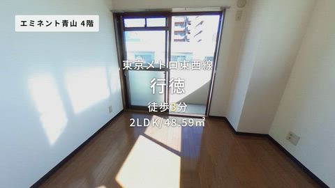 動画