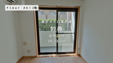 動画