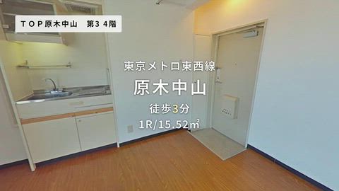 動画